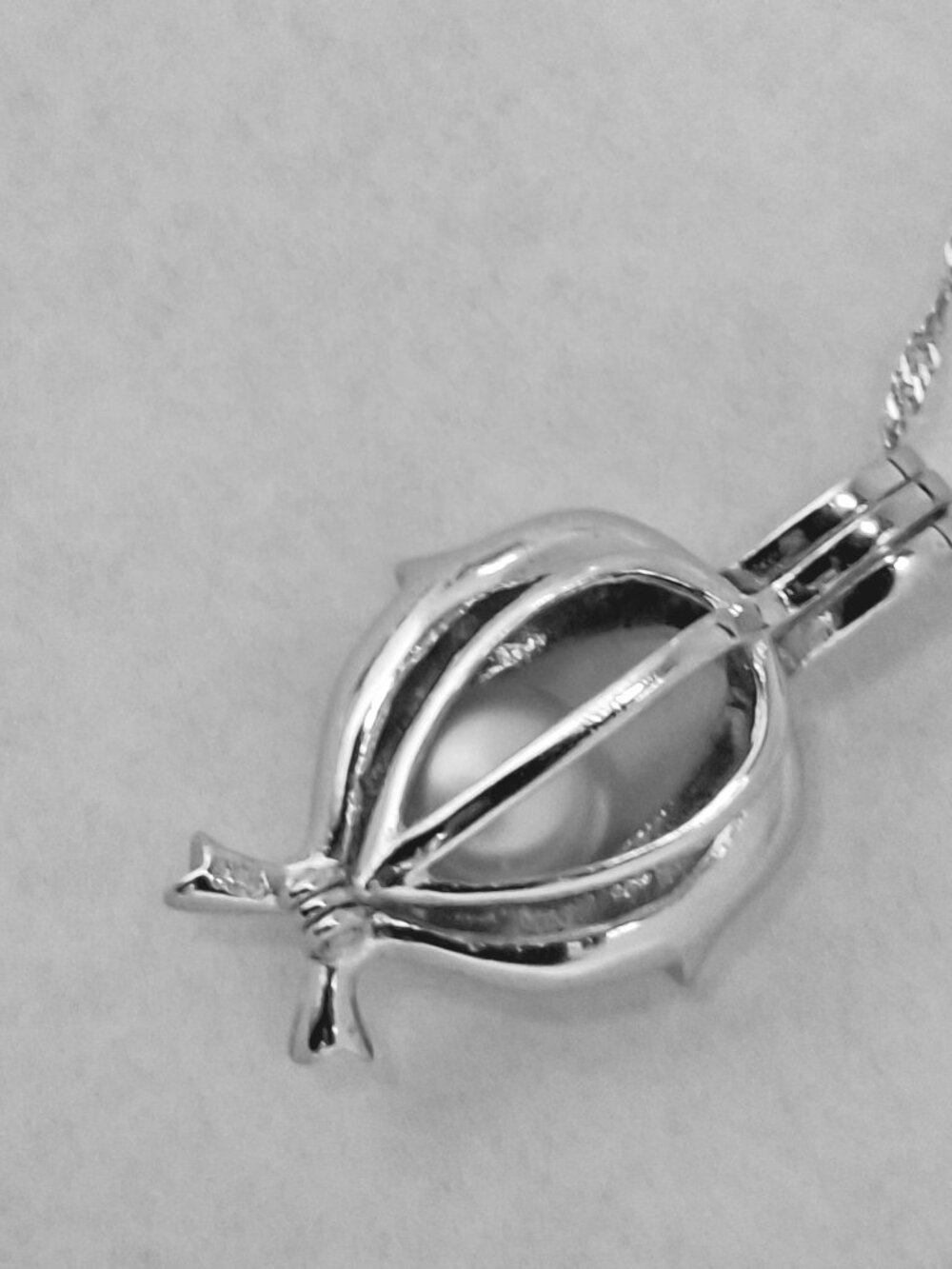 Dolphin Locket Cage Pendant